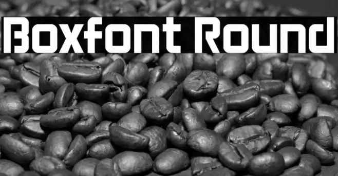 Boxfont Round Font examples
