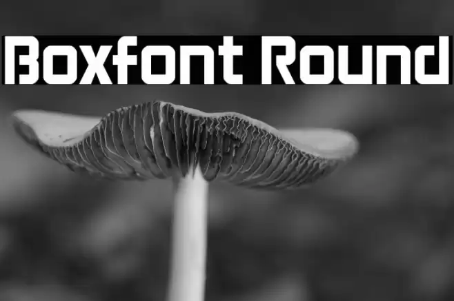Boxfont Round Font examples