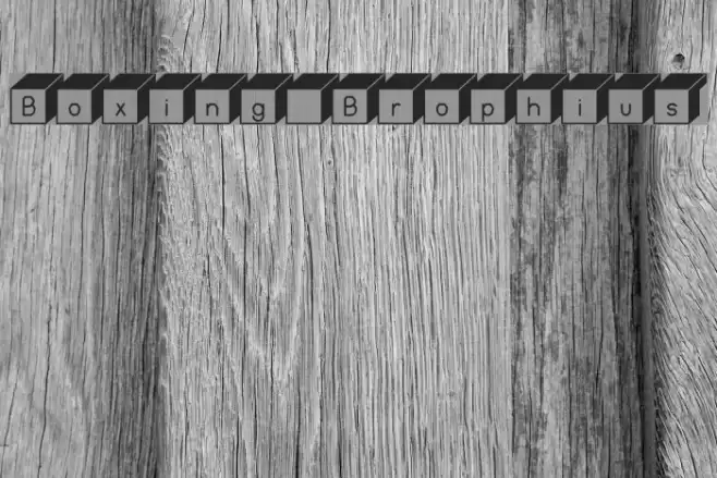 Boxing Brophius Font examples