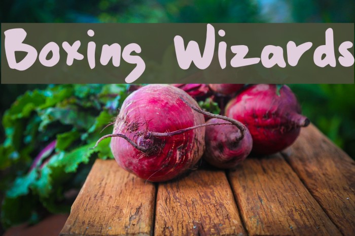 Boxing Wizards Font examples