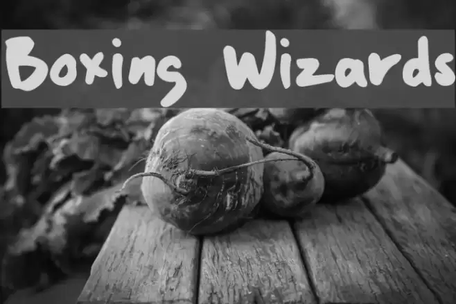 Boxing Wizards Font examples