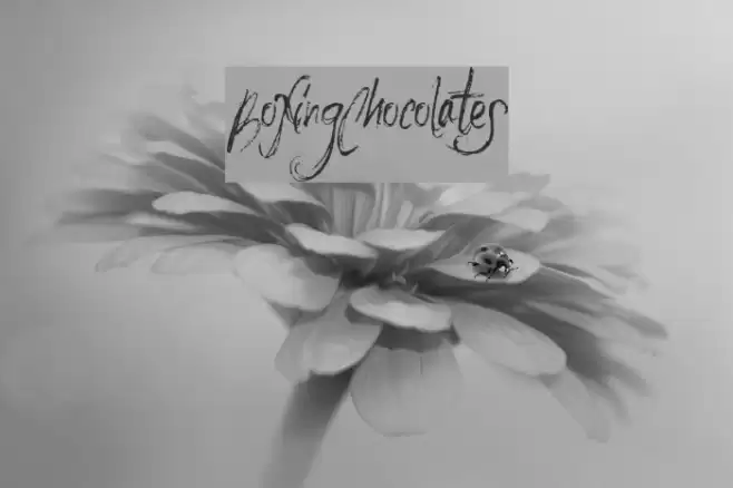 BoxingChocolates Шрифта examples
