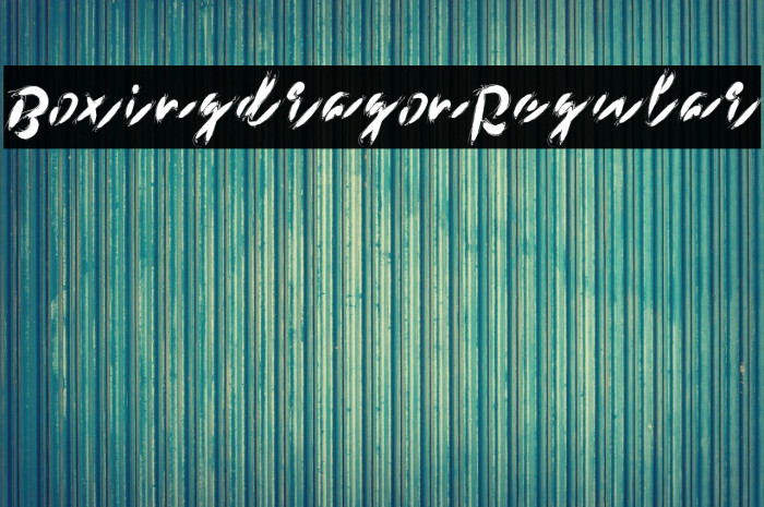BoxingdragonRegular Example 1