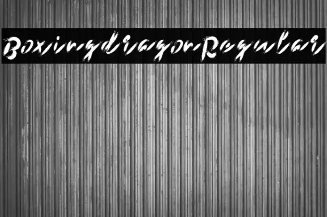 BoxingdragonRegular Example 1