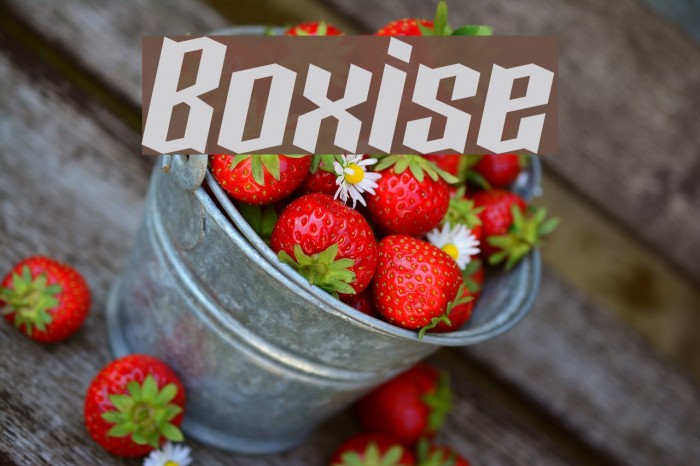 Boxise Font examples