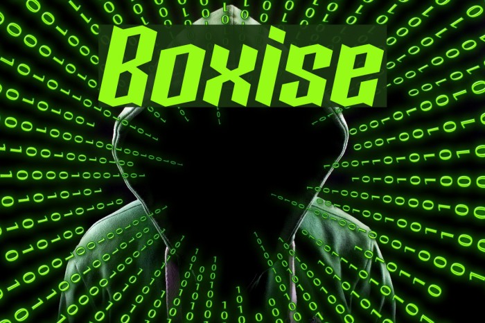 Boxise Font examples