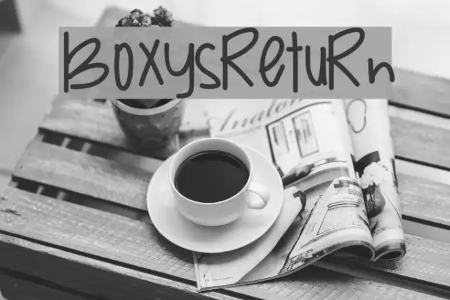 BoxysReturn Example 1