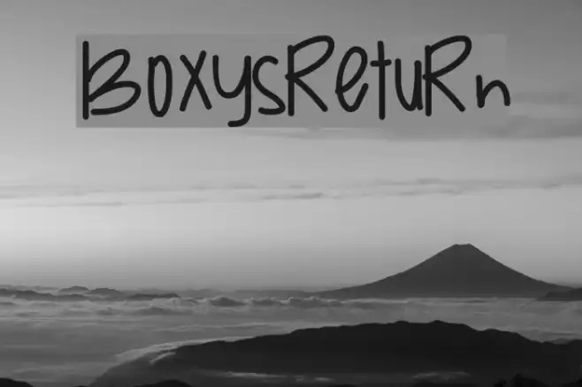BoxysReturn Example 2