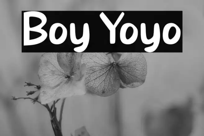 Boy Yoyo Example 3