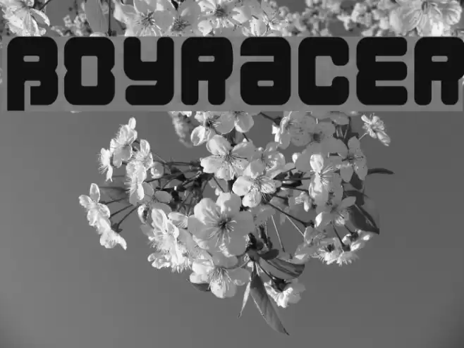 BoyRacer Font examples