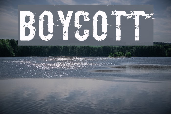 Boycott Font examples