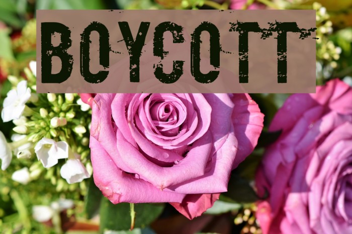 Boycott Font examples