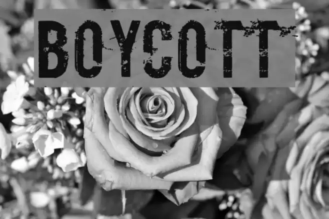 Boycott Schriftart examples