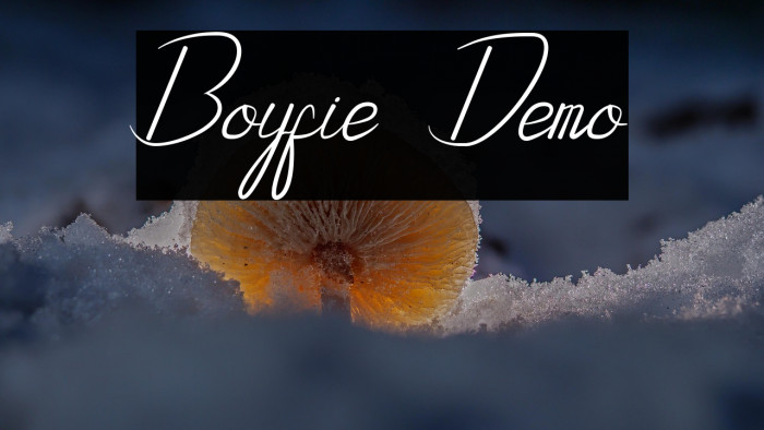 Boyfie Demo Example 2