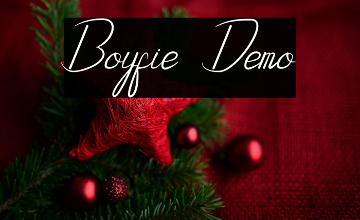 Boyfie Demo Example 3