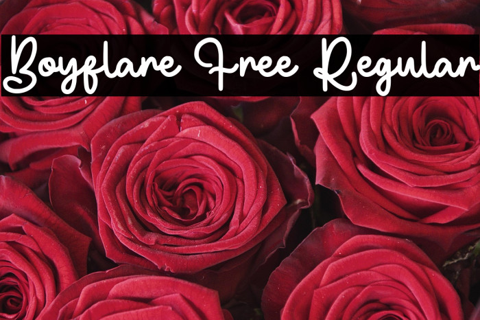 Boyflare Free Regular Шрифта examples