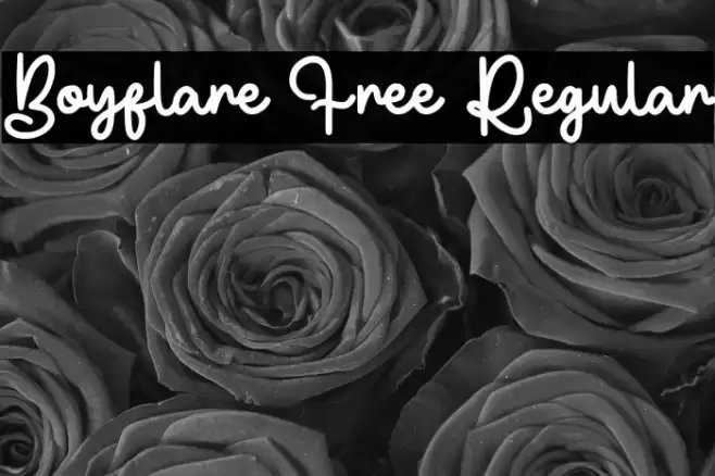 Boyflare Free Regular Caratteri examples
