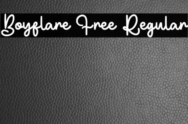 Boyflare Free Regular Caratteri examples