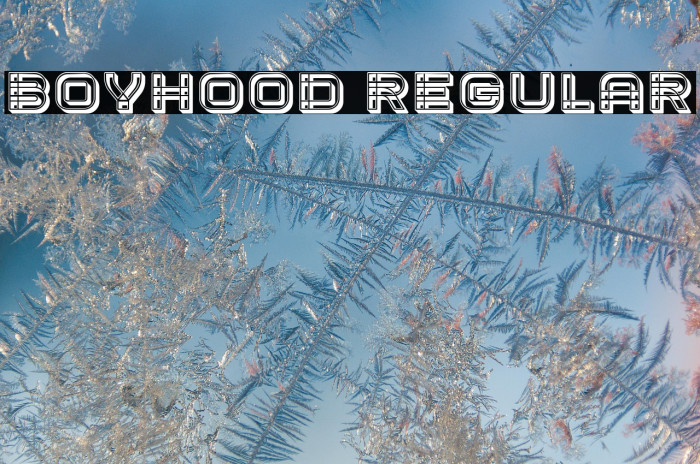 Boyhood Regular Example 3