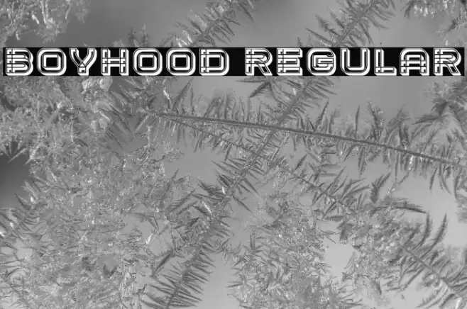 Boyhood Regular Font examples