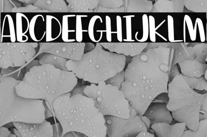 Boykids Font examples