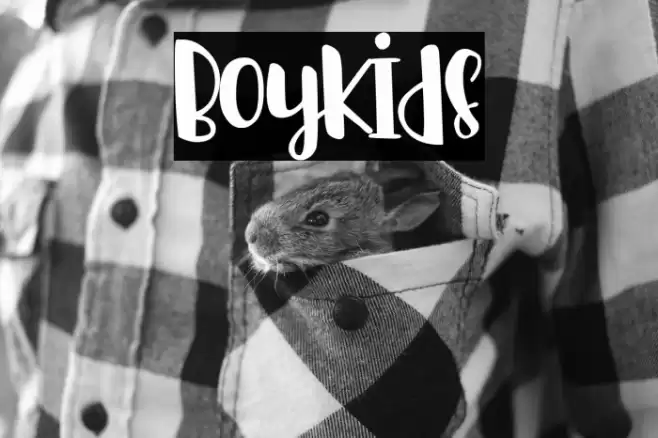 Boykids Font examples