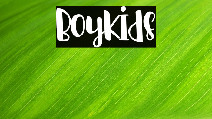 Boykids Example 2
