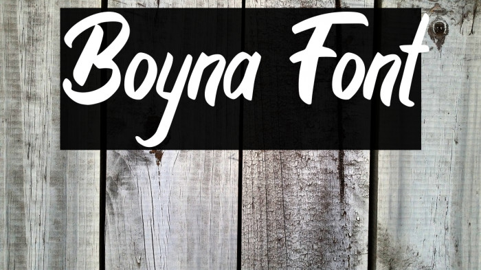 Boyna Example 1
