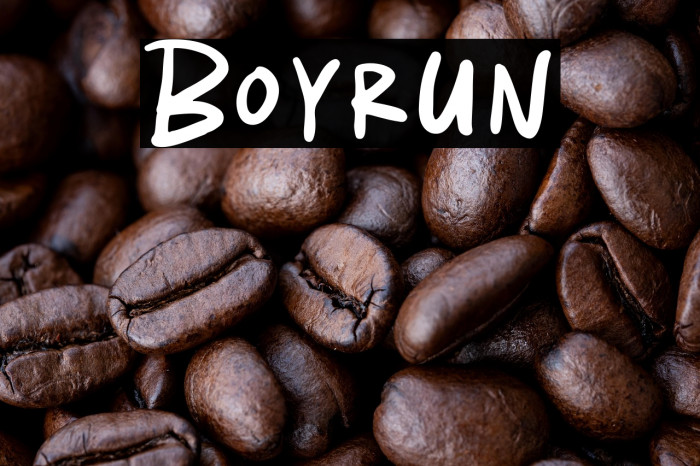 Boyrun Example 2