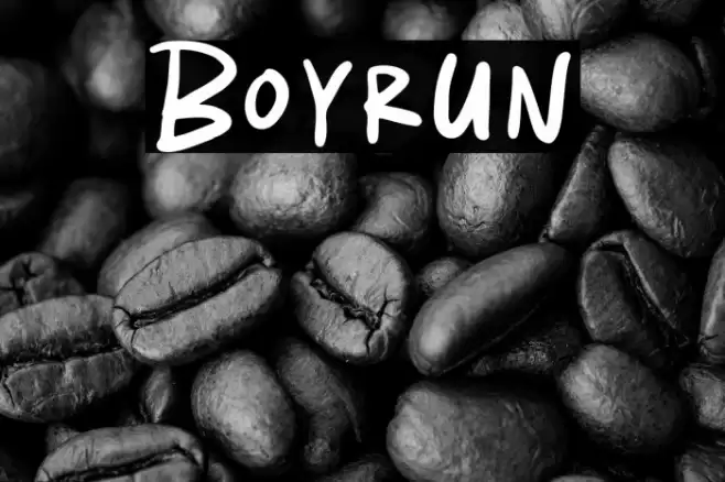 Boyrun Fuentes examples