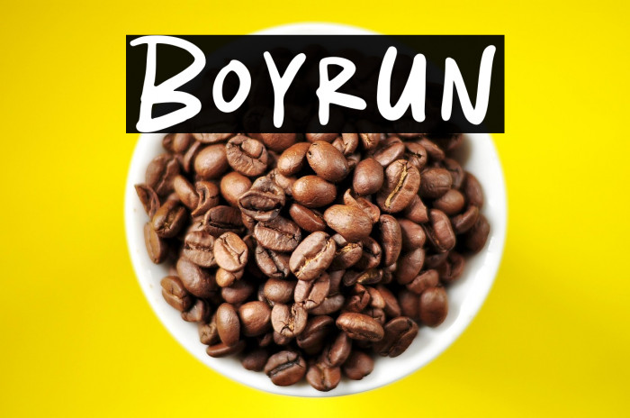 Boyrun Example 3