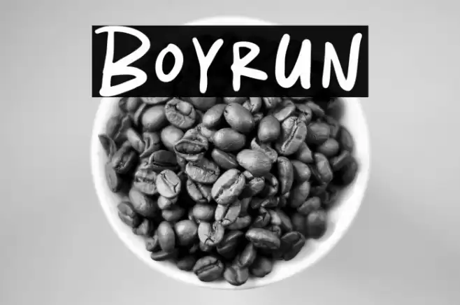 Boyrun Fuentes examples