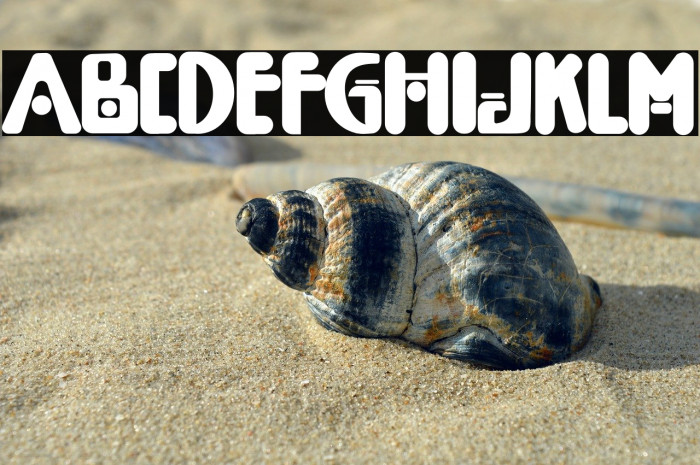 Boys Flower Example 3