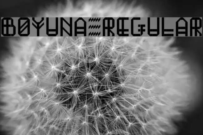 Boyuna Regular Example 1