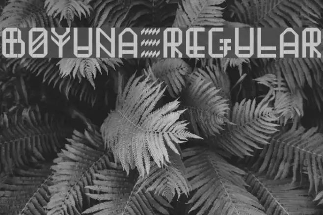 Boyuna Regular Example 3