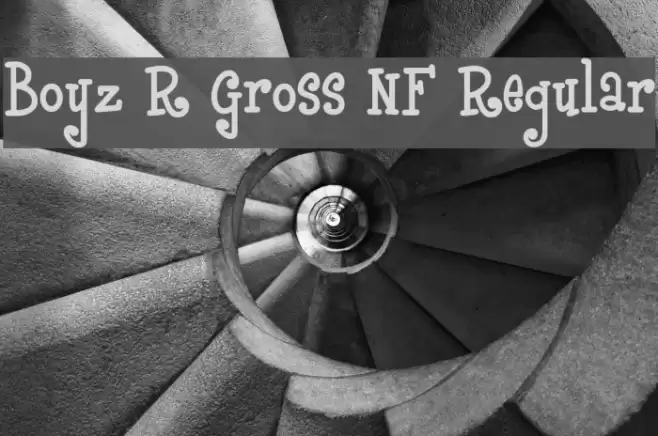 Boyz R Gross NF Regular Font examples
