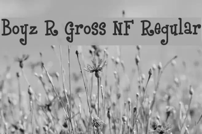 Boyz R Gross NF Regular Font examples