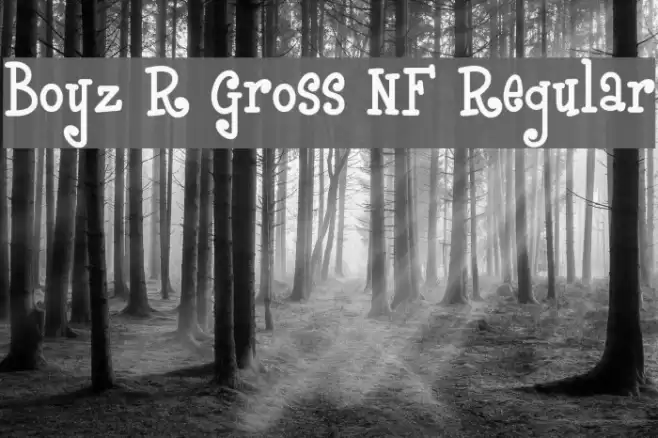 Boyz R Gross NF Regular Font examples
