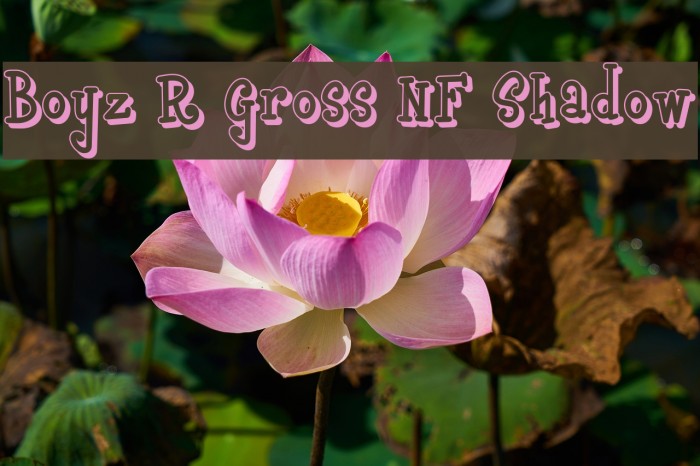 Boyz R Gross NF Shadow Font examples