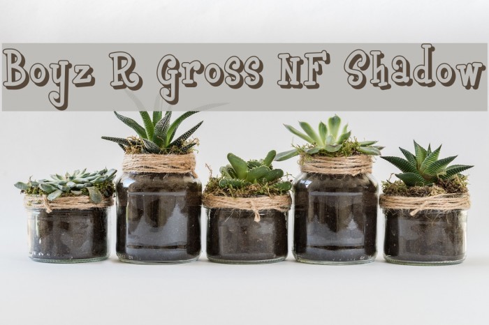 Boyz R Gross NF Shadow Font examples
