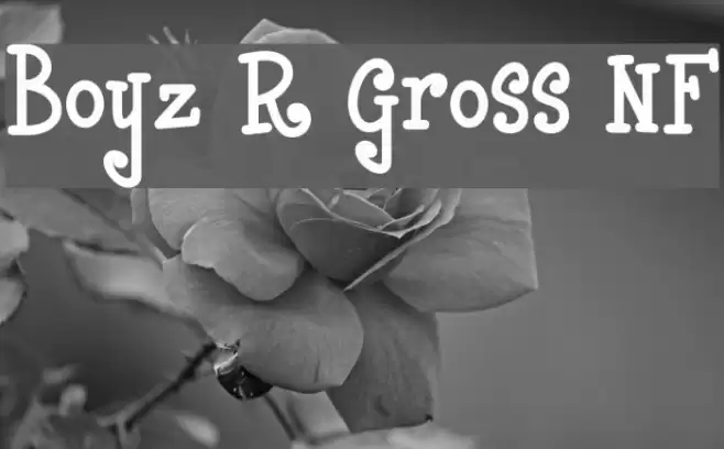 Boyz R Gross NF Font examples