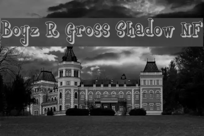 Boyz R Gross Shadow NF Example 1