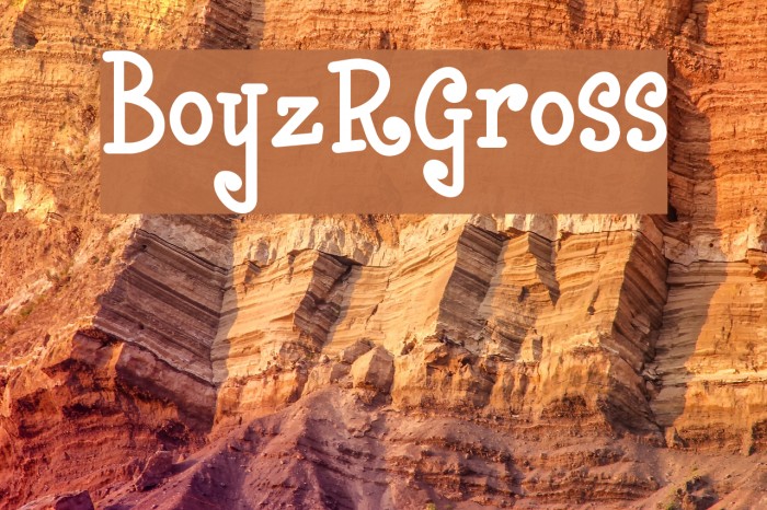 BoyzRGross フォント examples