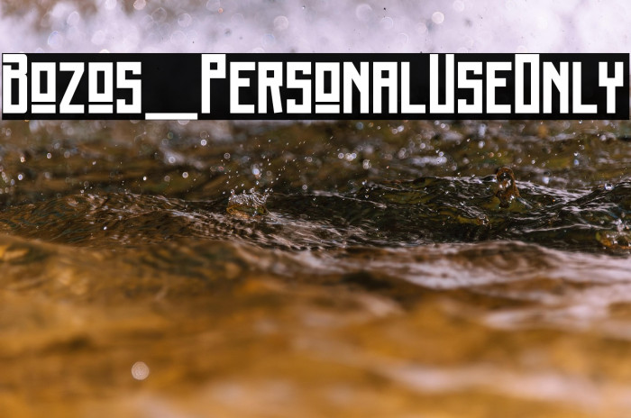 Bozos_PersonalUseOnly Example 1