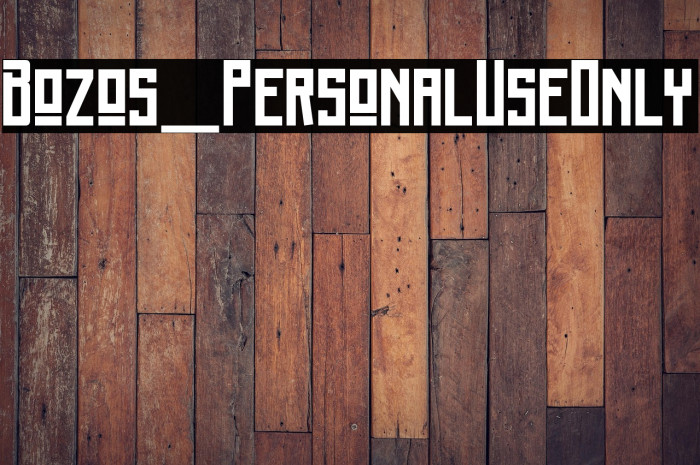 Bozos_PersonalUseOnly Example 2