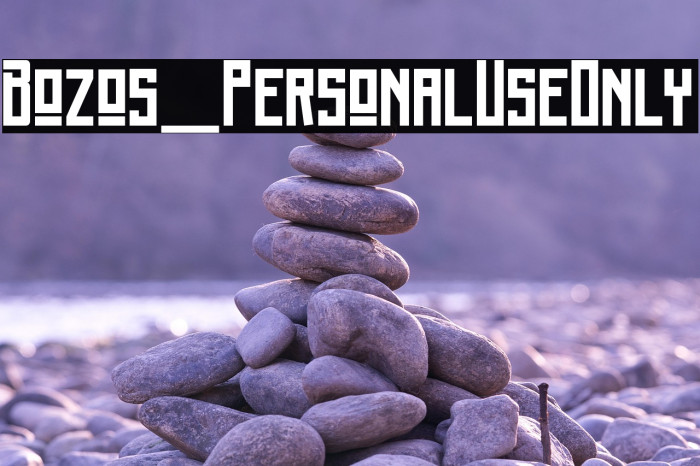 Bozos_PersonalUseOnly Example 3