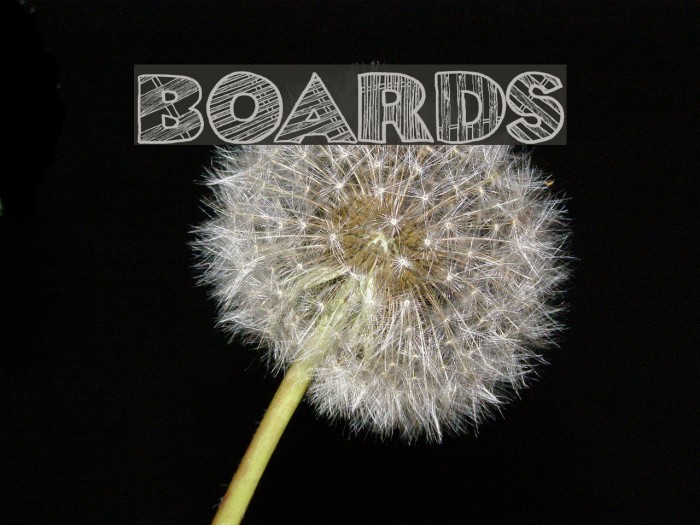 boards Font examples