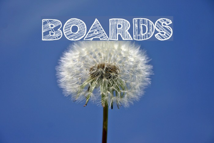 boards Font examples