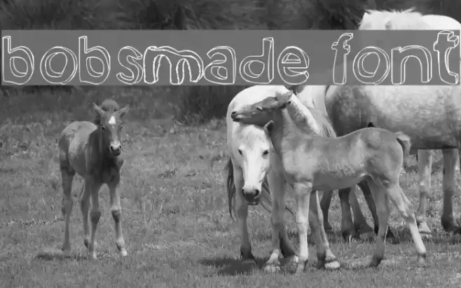 bobsmade font Schriftart examples