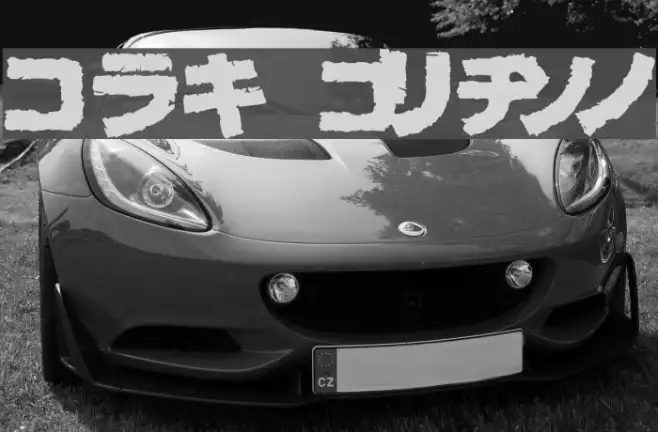 bog Black Example 2